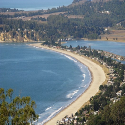 A shoreline and community of homes in Marin County.